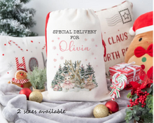 Load image into Gallery viewer, Ballerina Bunny Personalised Santa Sack-The Persnickety Co