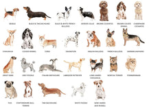 Load image into Gallery viewer, Personalised Photo Dog Bowl