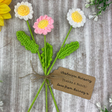 Load image into Gallery viewer, 🌼 Personalised "Thanks a Bunch" Crochet Daisies – Set of 3 🌼-The Persnickety Co