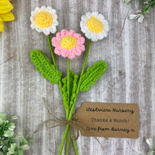 Load image into Gallery viewer, 🌼 Personalised "Thanks a Bunch" Crochet Daisies – Set of 3 🌼