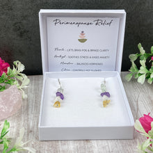 Load image into Gallery viewer, Perimenopause Earrings