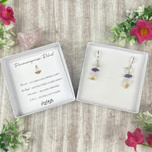 Load image into Gallery viewer, Menopause Earrings
