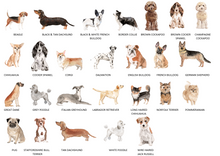 Load image into Gallery viewer, Dog Dad T Shirt - Over 25 Dog Breeds Available!