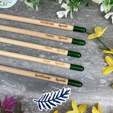 Load image into Gallery viewer, Teacher Gift - Sprout Pencil, Teachers Plant seeds Of Knowledge