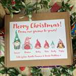Load image into Gallery viewer, From My Gnome To Yours Family Sweet Box