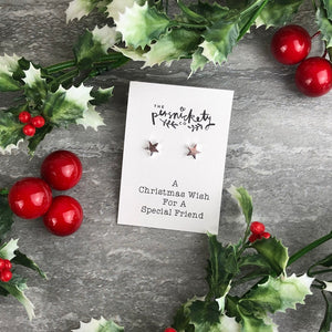 A Christmas Wish For A Special Friend - Star Earrings-2-The Persnickety Co