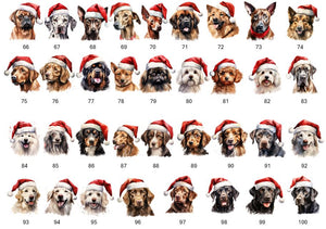Personalised Christmas Treat Box from the Dog