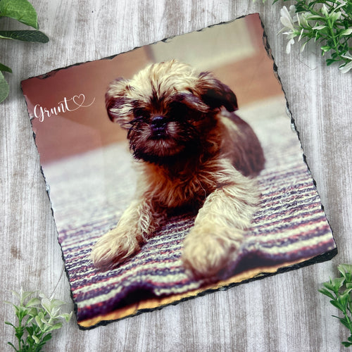 Dog Photo Slate-The Persnickety Co