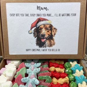 100 Dogs to Choose - Merry Christmas Personalised Dog Mum/Dad Sweets in a row