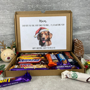 Personalised Christmas Treat Box from the Dog-The Persnickety Co