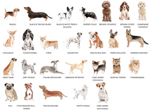 Load image into Gallery viewer, Dog Dad T Shirt - Over 25 Dog Breeds Available!
