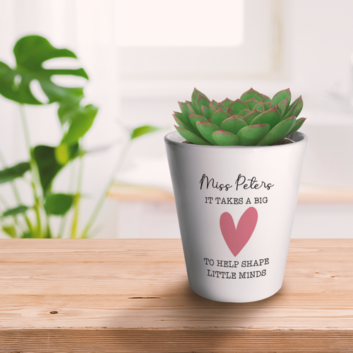 Teacher Gift-It Takes A Big Heart Plant Pot-The Persnickety Co
