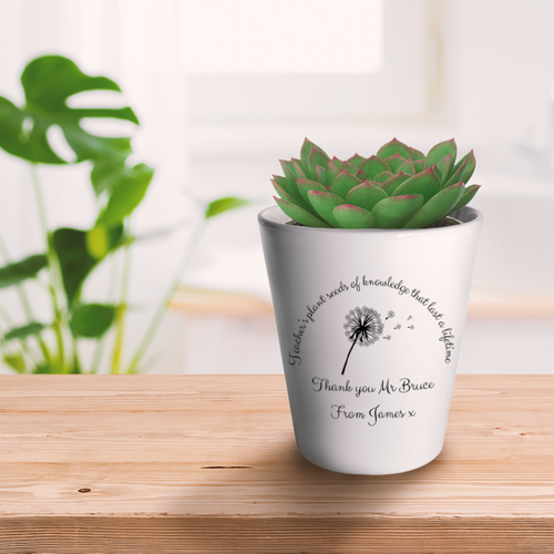 Teacher Gift-Seeds of Knowledge Plant Pot-The Persnickety Co