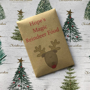Magic Reindeer Food Kraft Envelope-2-The Persnickety Co