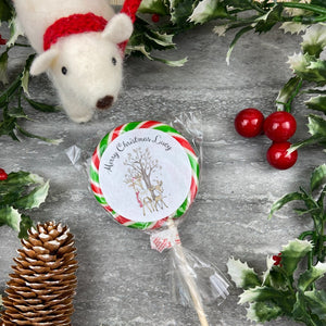 Merry Christmas - Personalised Cute Deer Lollipop