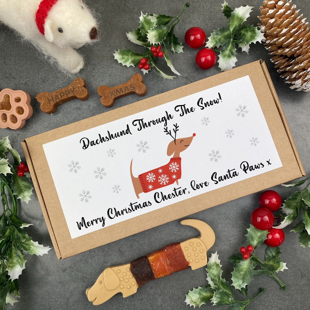 Christmas Dog Treats - Dachshund Through The Snow!-The Persnickety Co