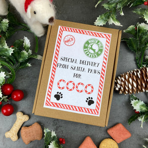Personalised Little Box Of Dog Treats - Special Delivery-The Persnickety Co