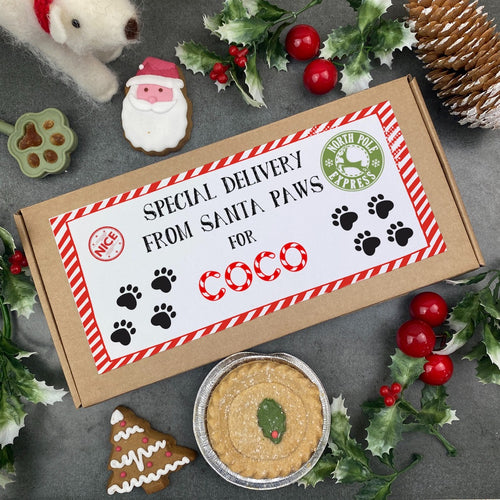Christmas Dog Treats - Special Delivery From Santa Paws!-The Persnickety Co